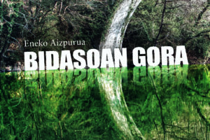 Eneko Aizpurua, "Bidasoan gora" @ On line prentsaurrekoa